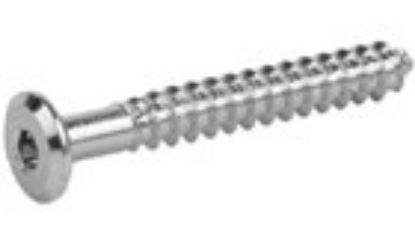 Picture of Connector Screw (KD) SCW 7 x 50mm Hex Drive Bronze