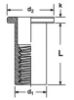 Picture of Rivet Nut 1/4-20x 0.625 Flat head Non-Splined, Zinc