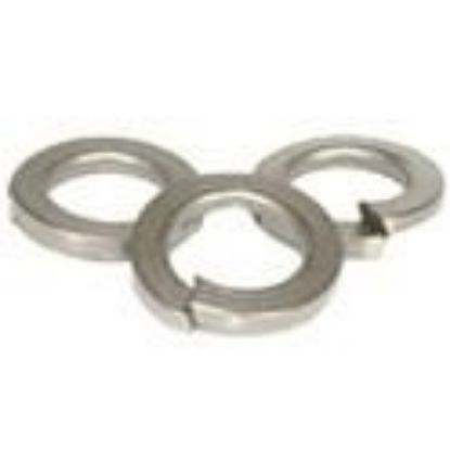 Picture of M24 M24 Split Lock Washers Stainless Steel A2 (Metric)